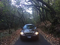 Private location in the forest, Napa Valley Private location in the forest, Napa Valley